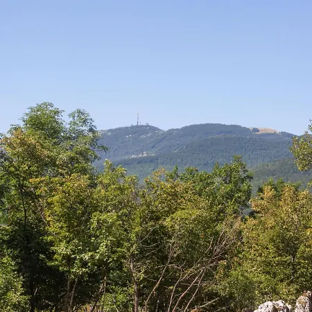 Complacent In With A Mountain View